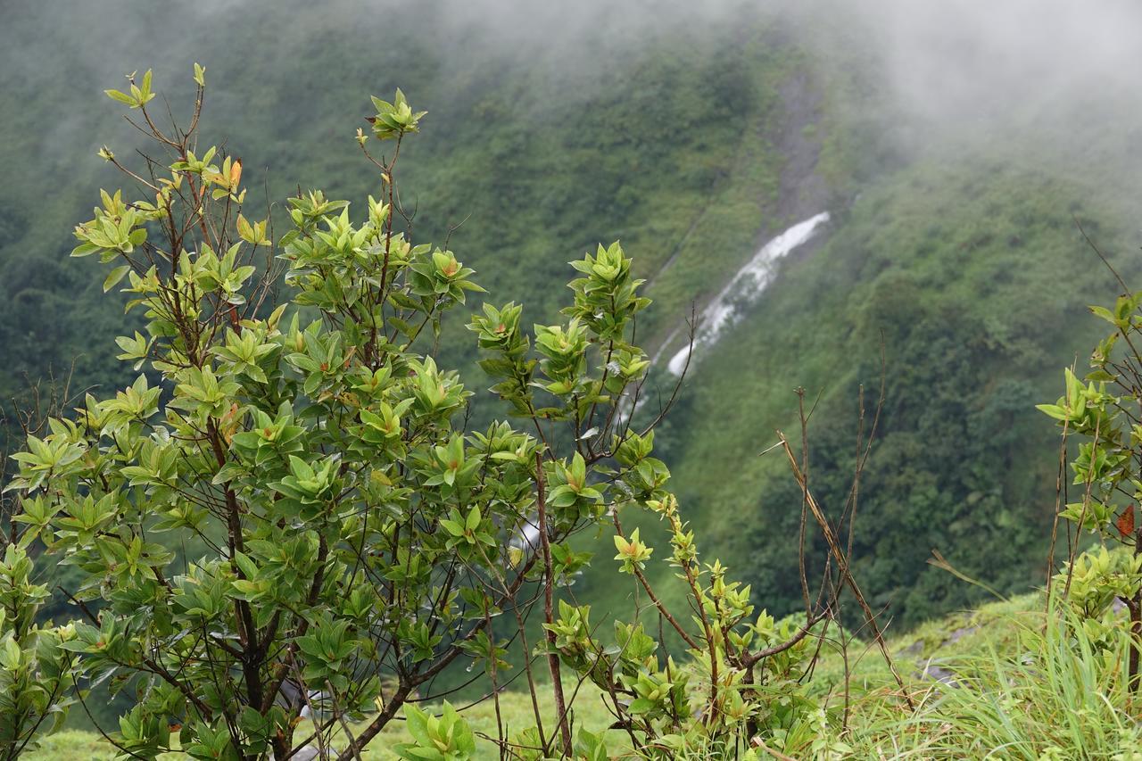 Orion County Hotel Vagamon Exterior foto